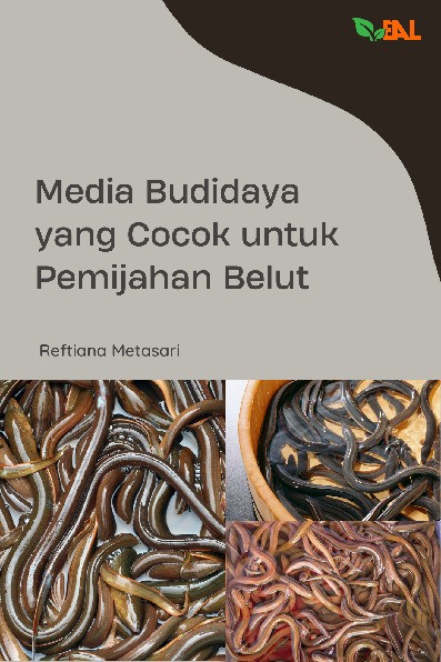 Media Budidaya yang Cocok untuk Pemijahan Belut